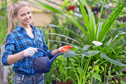 Seasonal planting ideas for landscape gardening in Sudbury