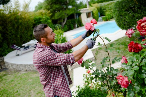 Sudbury outdoor garden planning with patio and border design