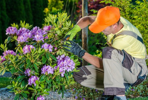 A beautifully maintained outdoor space cared for by Sudbury gardeners
