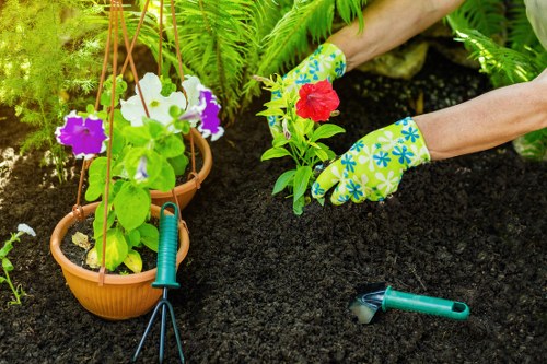 Healthy soil and grass improvement for Sudbury lawns