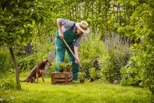 Professional lawn maintenance in Sudbury for curb appeal