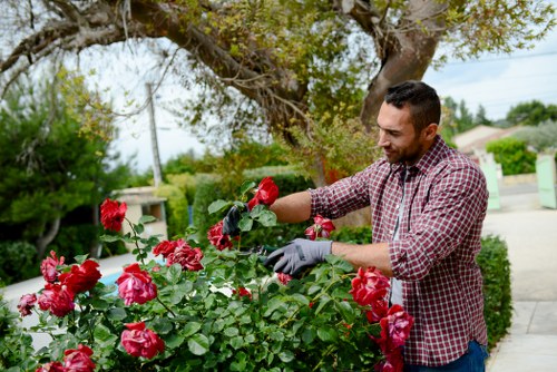 Gardeners Sudbury pricing overview with transparent quote model