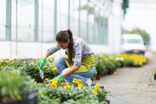 Low-carbon van used for sustainable gardening transport