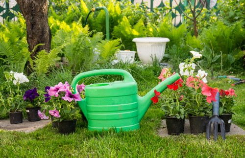 Local Sudbury garden maintenance with shrubs and lawns