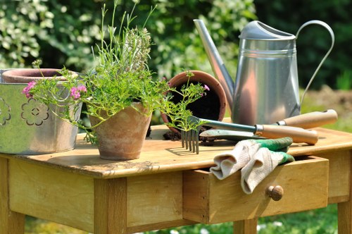 Tidying a neglected Sudbury garden before landscaping
