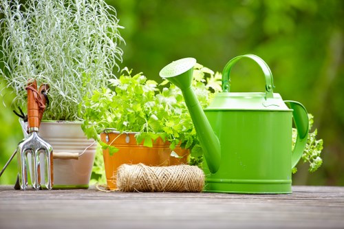 Overseeding and aeration for lawn care in Sudbury