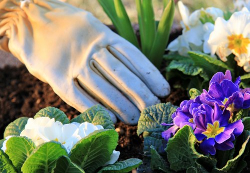 Free quote policy for Sudbury gardening services