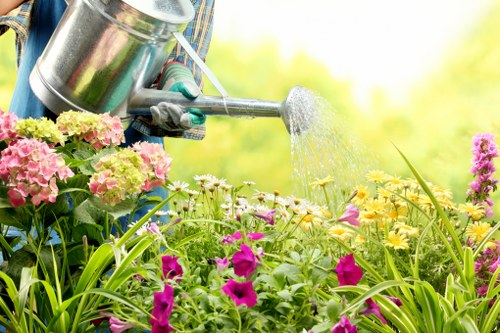 Seasonal lawn mowing in Sudbury for healthy grass growth