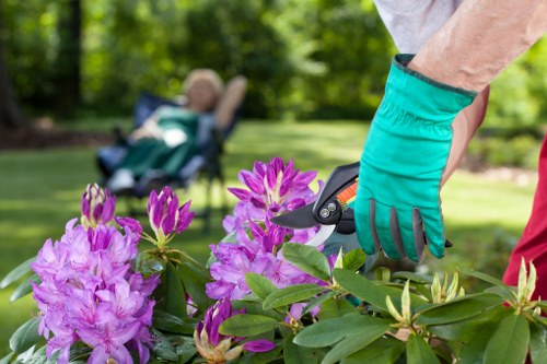 Professional garden care and landscape structure in Sudbury