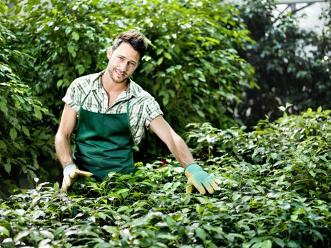 Marketing cookies helping tailor Gardeners Sudbury content