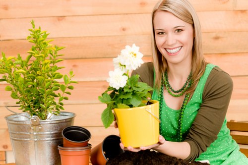 Professional garden pruning and hedge shaping in Sudbury