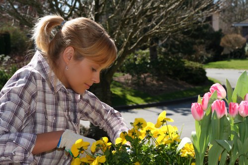 Professional gardeners in Sudbury following safe working practices