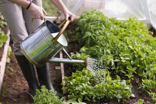 Seasonal gardening services in Sudbury for healthy plants