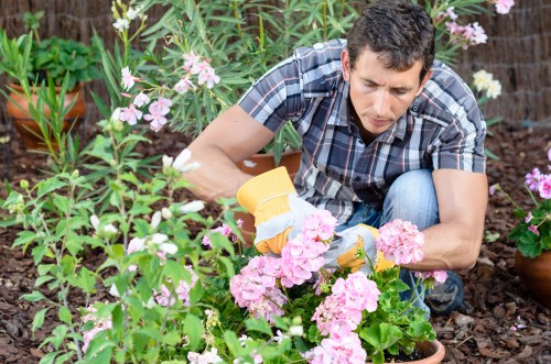 Protective equipment and safe tool use in garden services