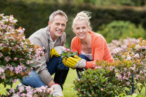 Seasonal lawn care in Sudbury with mowing and watering