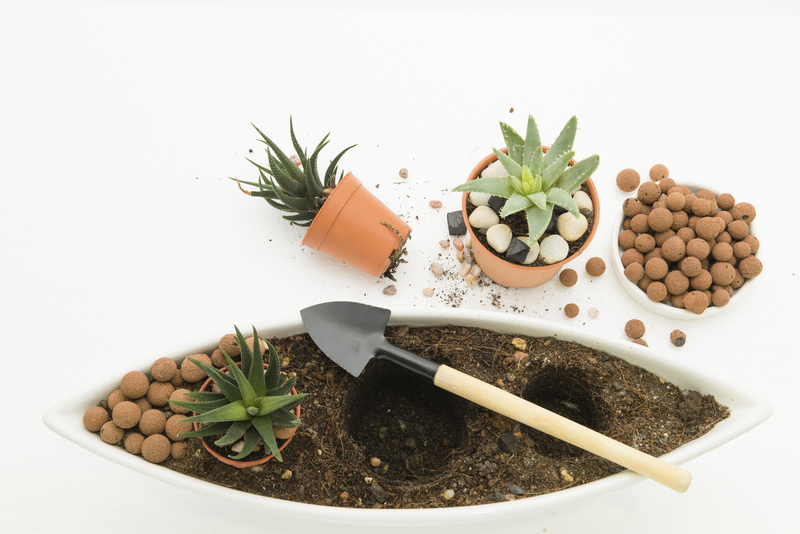 garden design landscape design