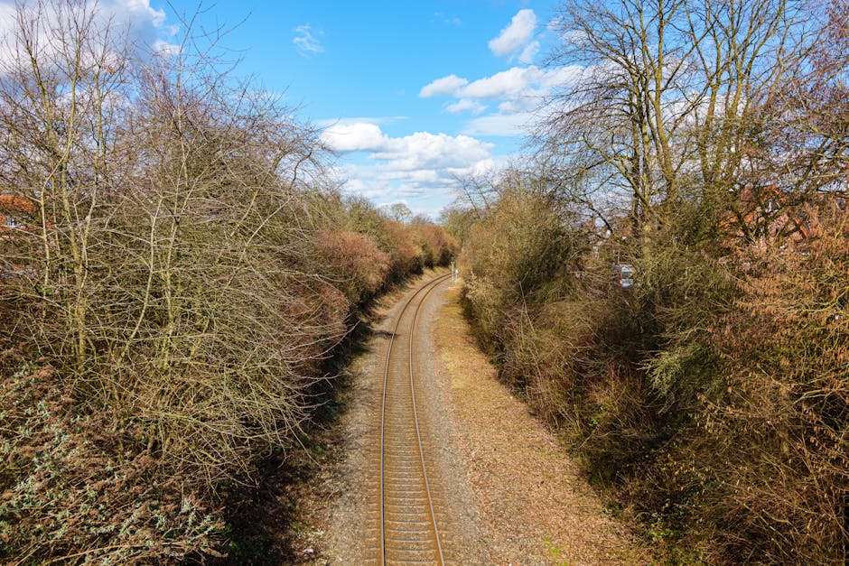 A view of a single railway track curving gently into the distance, flanked by dense, leafless deciduous trees and shrubs on both sides. The trees have bare branches, indicating it is late autumn or wi